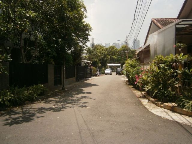 place photo 7