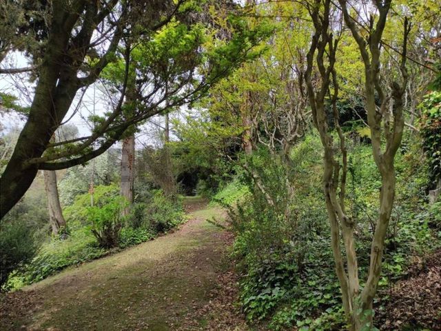 place photo 29