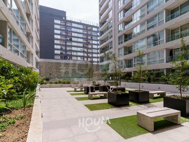 place photo 29