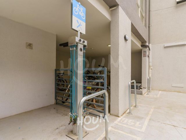 place photo 26