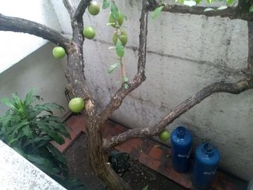 place photo 26