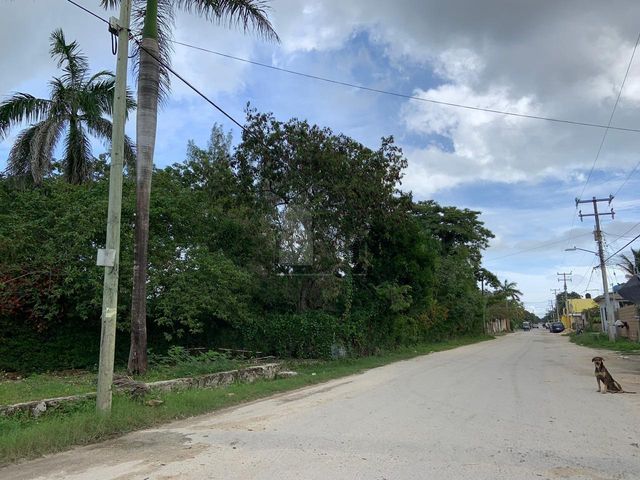 place photo 40