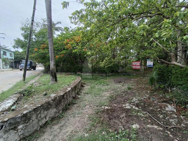 place photo 29