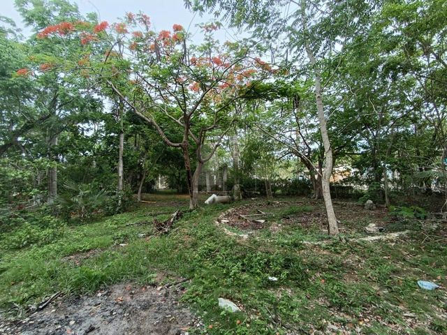 place photo 25