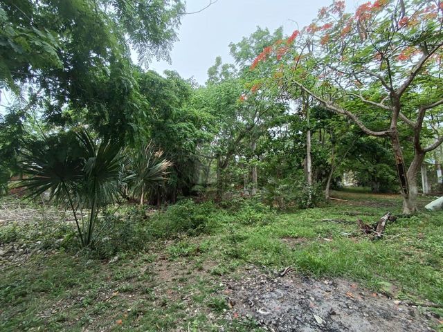 place photo 30