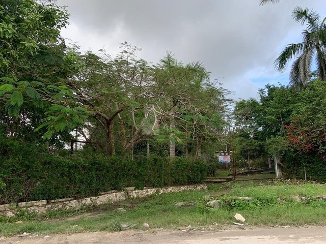 place photo 34