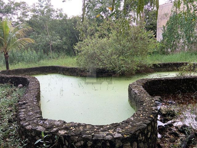 place photo 31