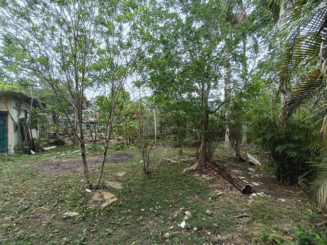 place photo 27