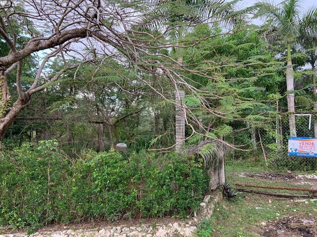 place photo 33