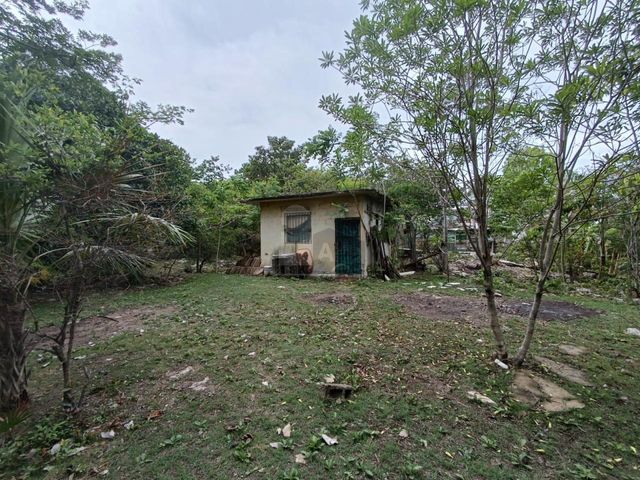 place photo 26