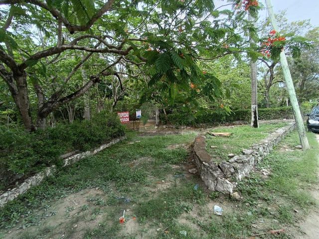 place photo 35