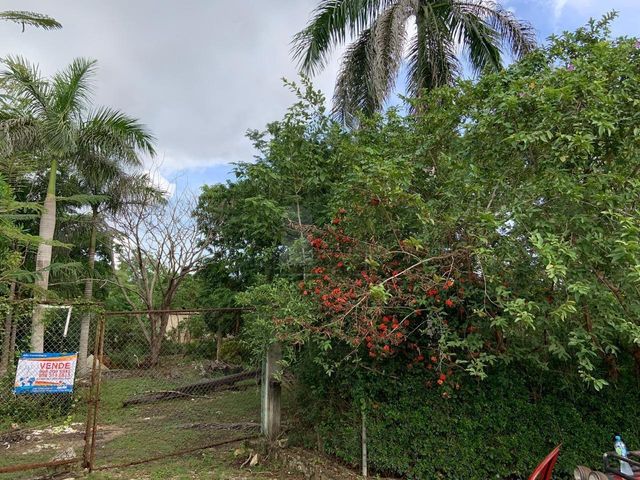 place photo 36