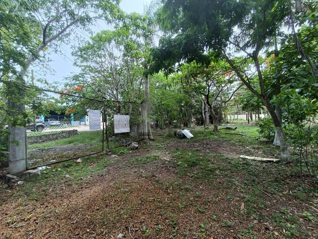 place photo 12