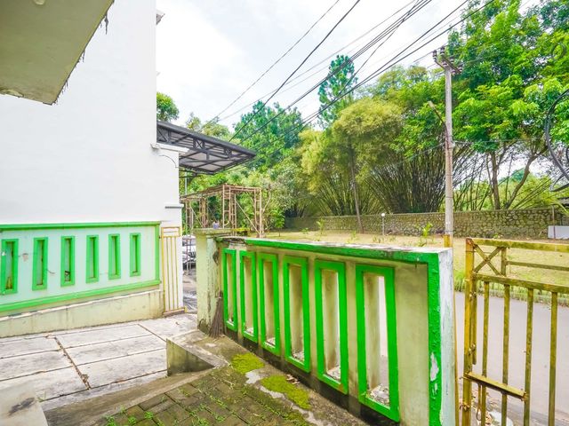 place photo 26