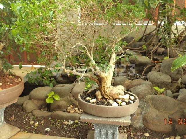 place photo 41