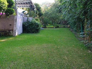 place photo 19