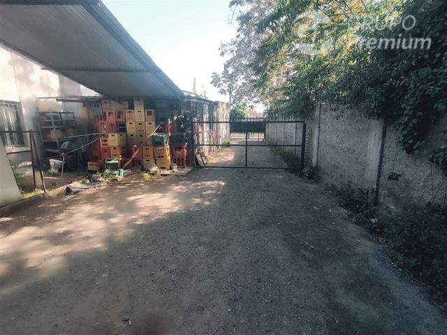 place photo 27
