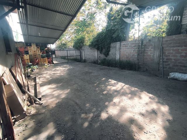 place photo 34