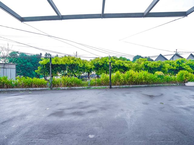 place photo 37