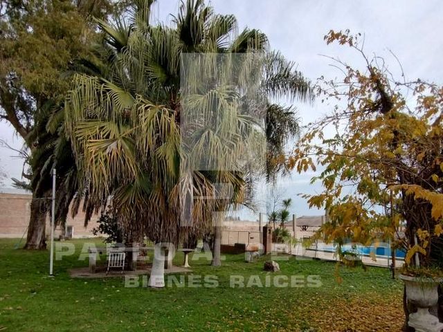 place photo 36