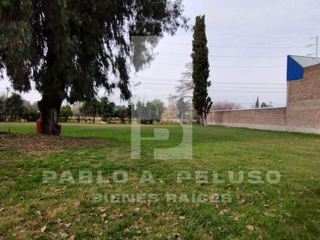 place photo 42