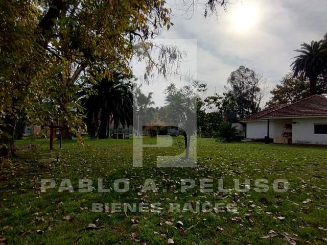 place photo 34