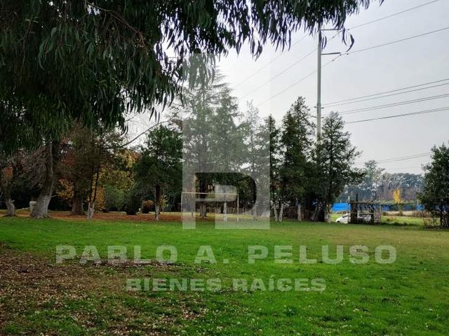 place photo 40