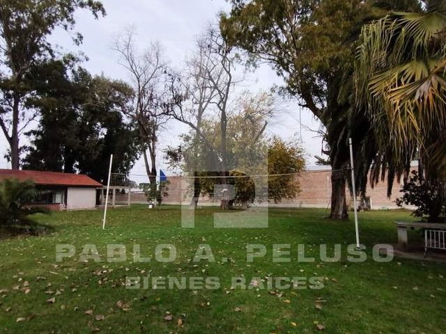 place photo 35