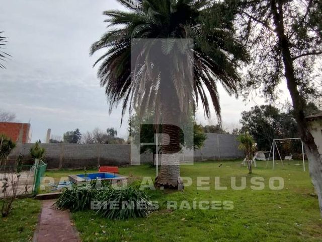 place photo 38
