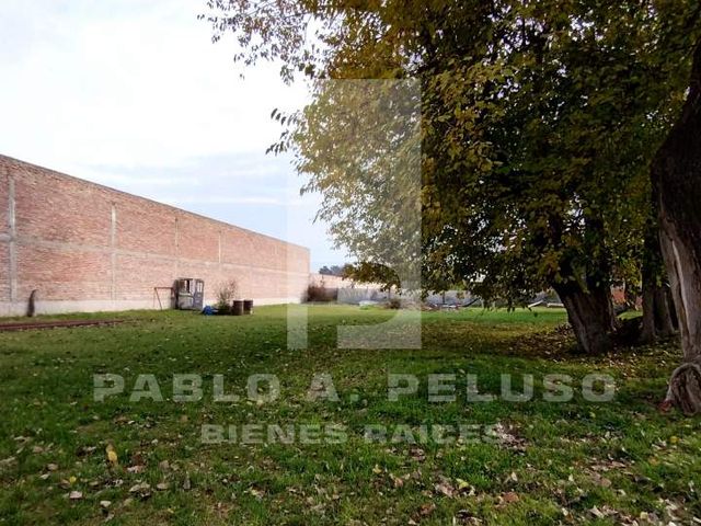 place photo 43