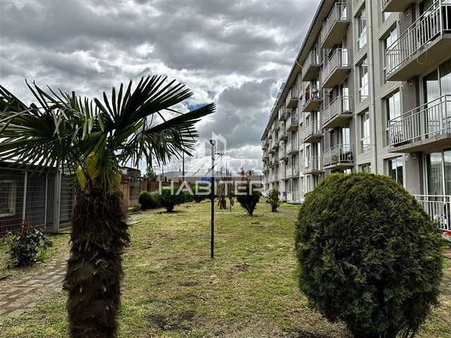 place photo 14