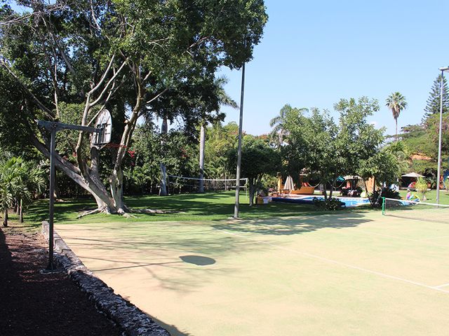 place photo 17
