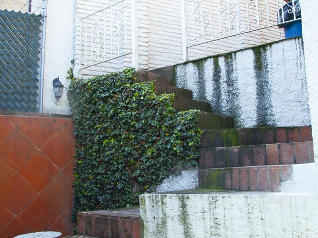 place photo 49