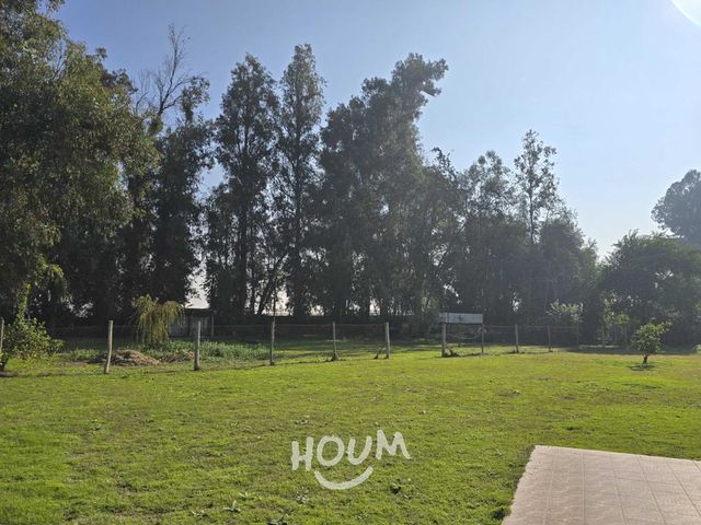 place photo 52