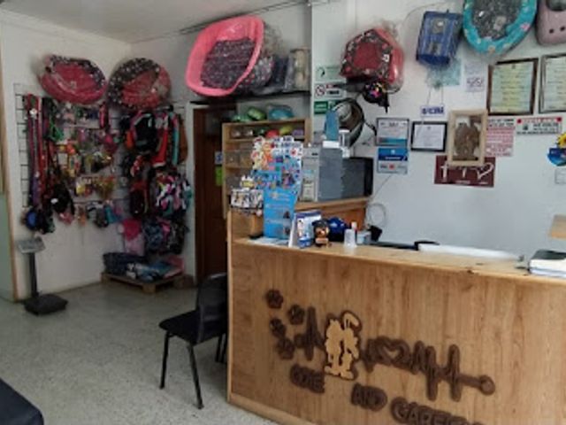 place photo 3
