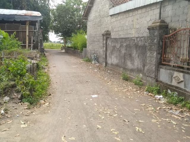 place photo 4