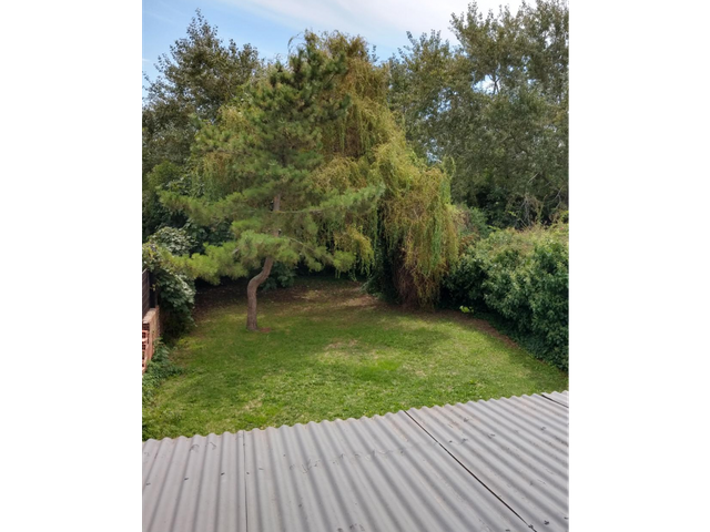 place photo 14
