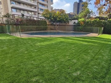 place photo 37