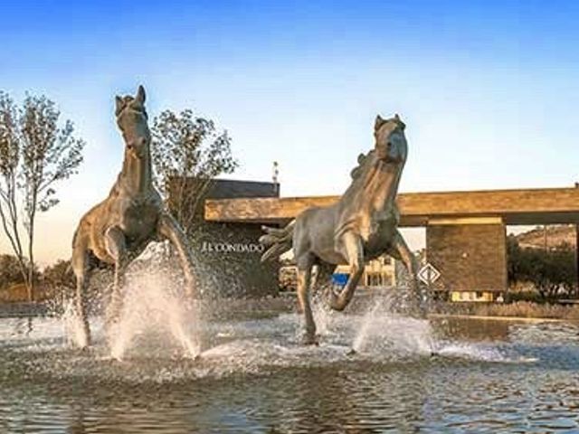 place photo 45