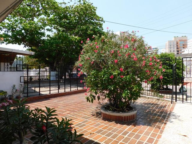 place photo 26