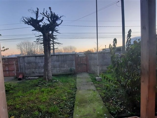 place photo 41