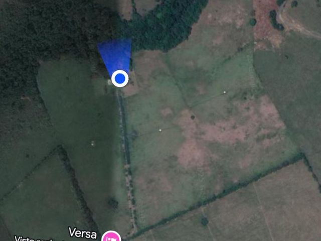 place photo 19