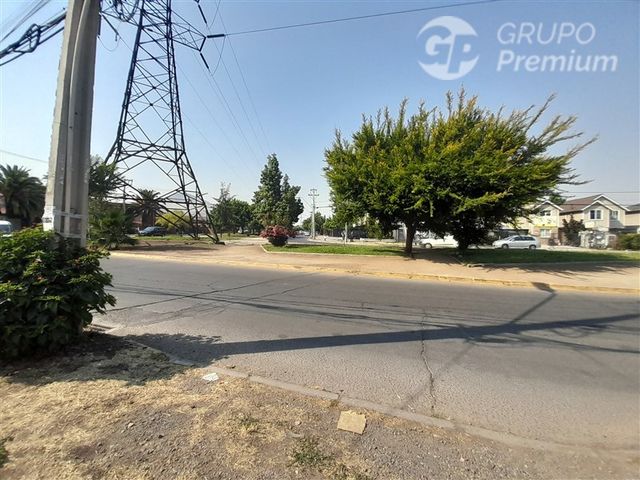 place photo 24