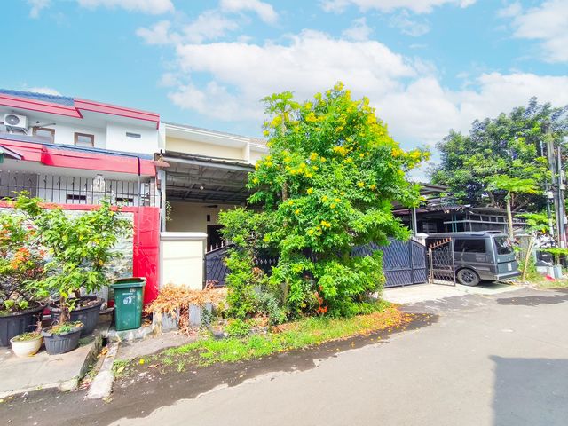 place photo 53