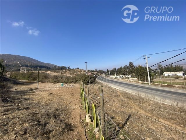 place photo 48