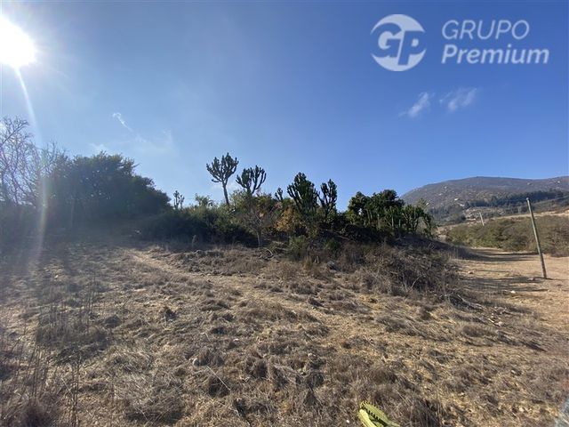 place photo 46