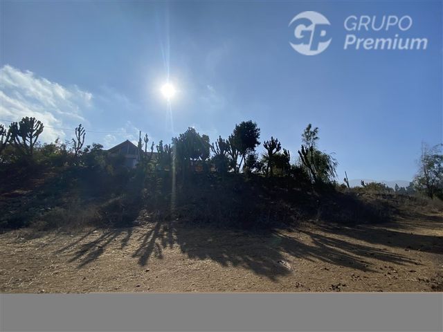 place photo 43