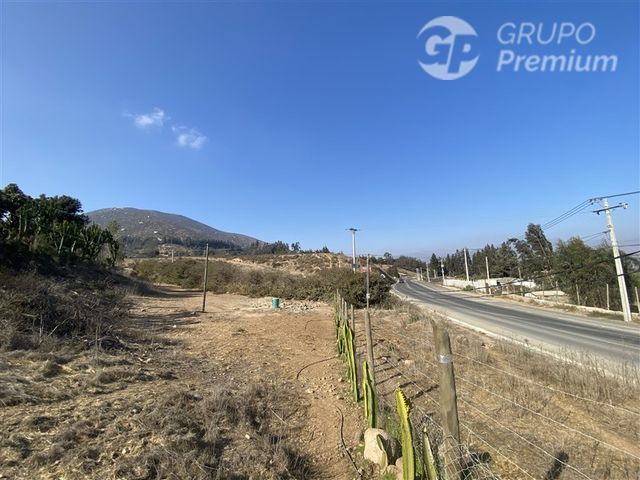 place photo 47