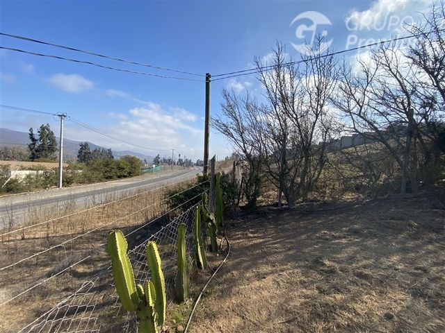 place photo 49