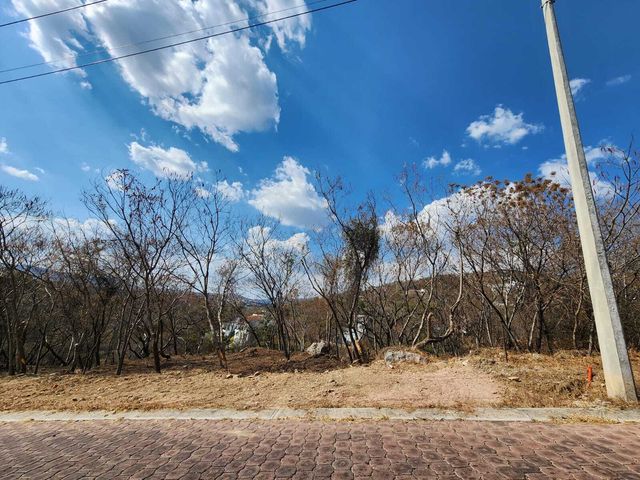 place photo 27
